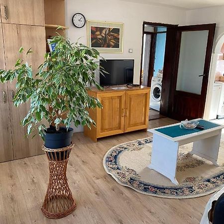 Appartamento Micin Dom Pirot Esterno foto