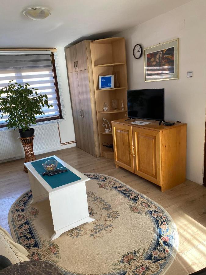 Appartamento Micin Dom Pirot Esterno foto